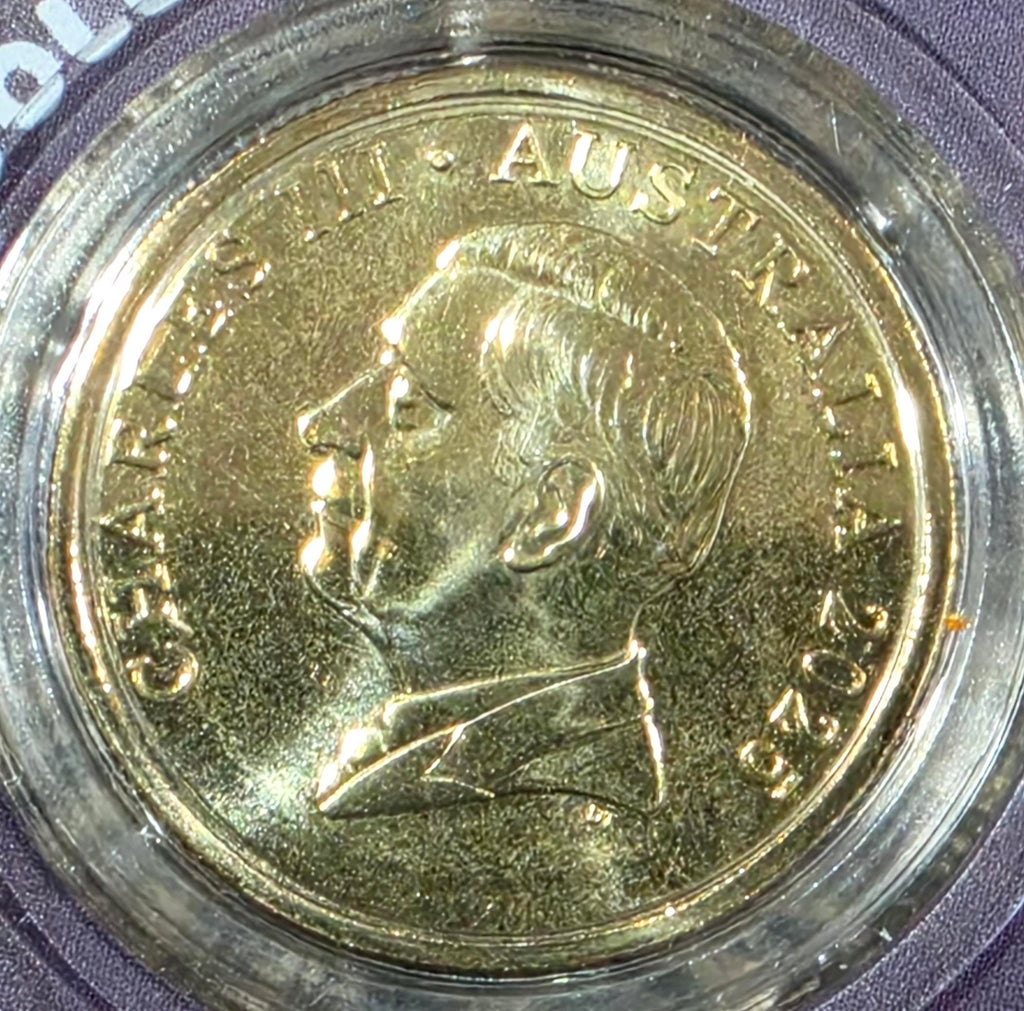 2025 Bluey coloured uncirculated coin